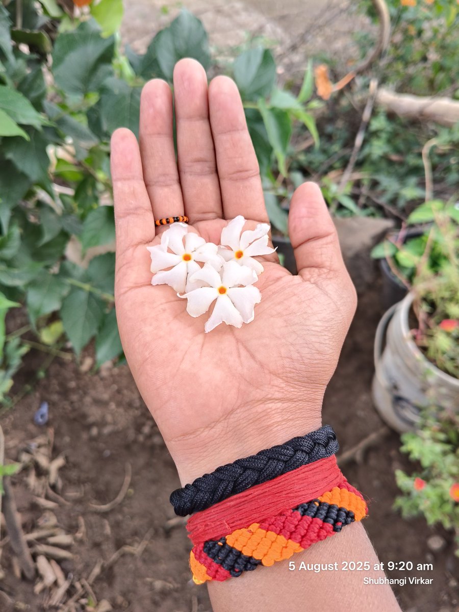 ShubhangiVirkar's tweet photo. व्यक्तिमत्व सुध्दा फुलांसारखं असावं...     
      चुरघळल्या जरी गेलो तरी
      सुगंधी स्वरूपात उरावं.... https://t.co/FuhLhPNPAj