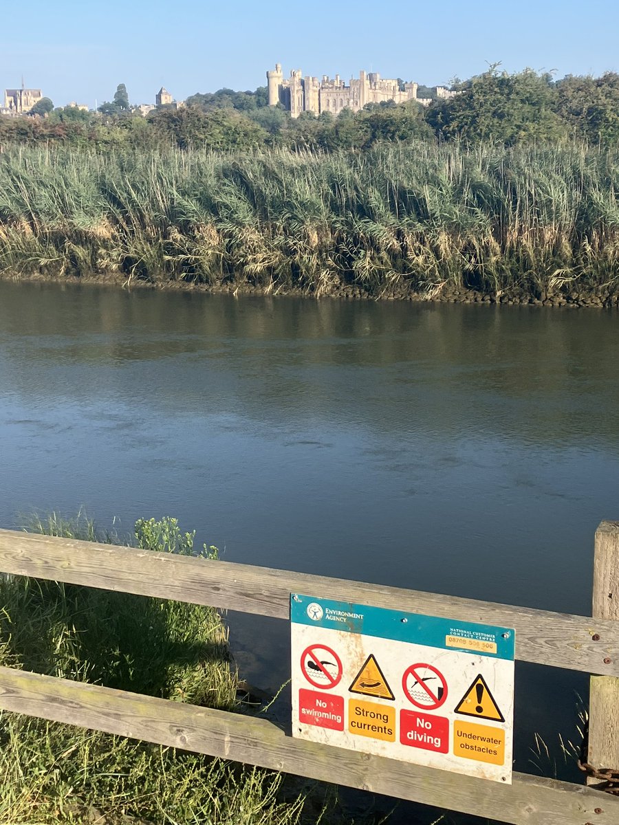 MREATLO's tweet photo. Beautiful morning out carrying out pre work site visits on the #Arun around #Arundel. 

@EnvAgencySE https://t.co/FKGJ52mPwp