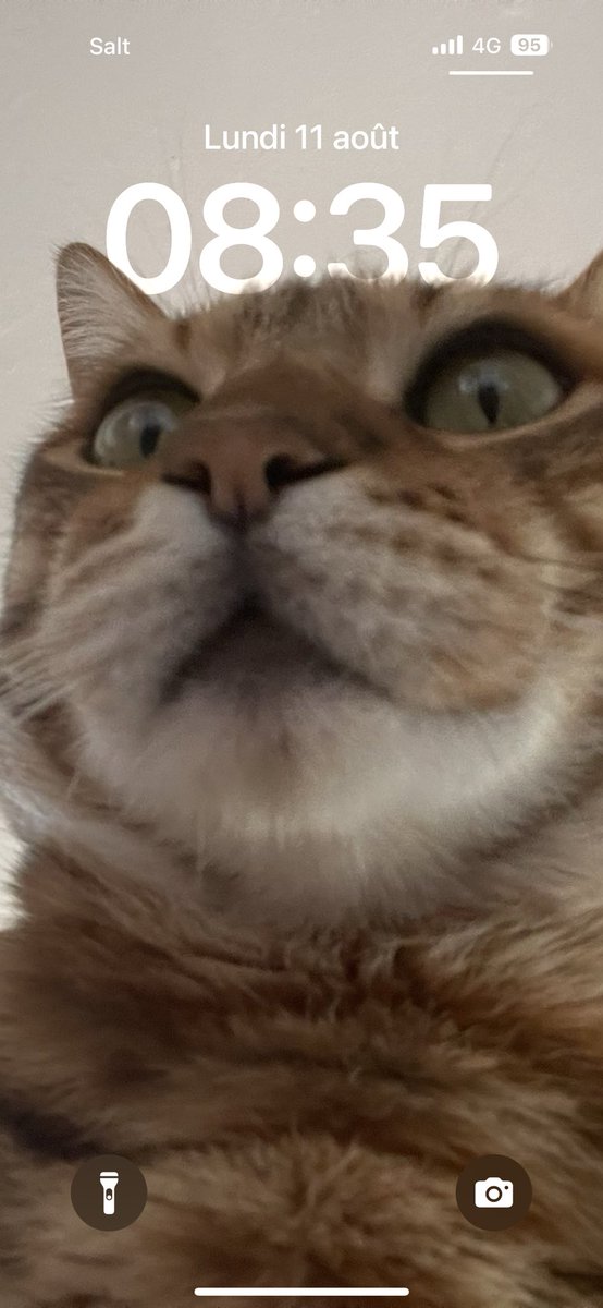 J’crois y’a un truc 😂😂😂