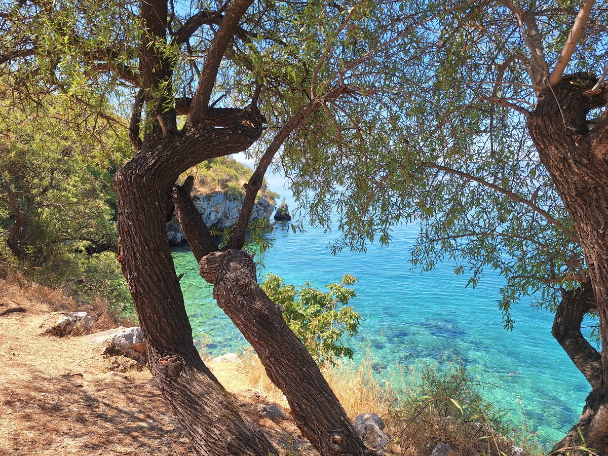 shopkarishte's tweet photo. Dobro utro milički.
#Gradishte #Ohrid
Macedonia https://t.co/rtrVPNXVsb