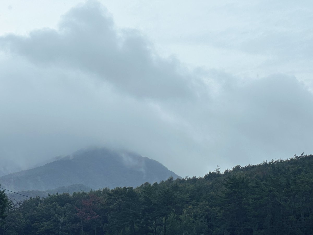 비오는 월요일,.
늦은 점심을 먹기 위해 우산을 쓰고 걸었다.
뽕나무, 대추나무도 만나고 아랑곳하지 않는 
구름 사이의 하늘도 만난다.
평범성이 주는 열락이다.