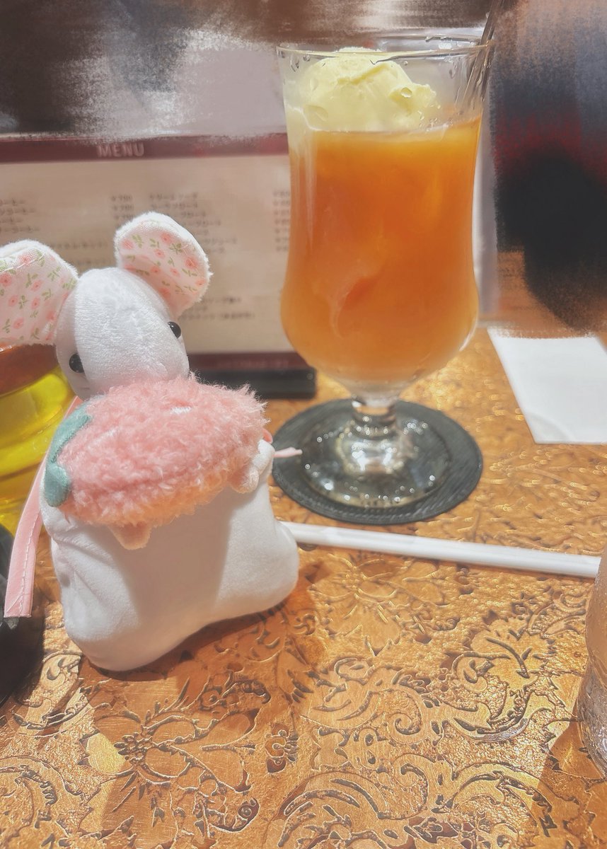 長毛種 (@krmo527k) on Twitter photo 