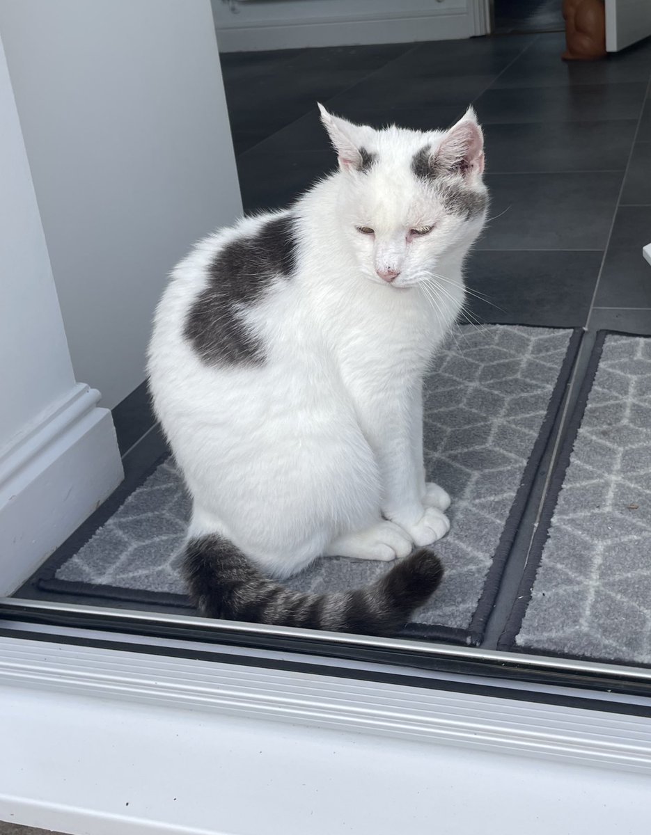 I will think of dear Junysek today whilst out on my #Hedgewatch. We hope his family can take comfort from the tributes to him today. #HedgewatchforJunysek. ❤️❤️❤️