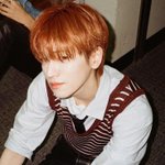 Photo by 파랑 (@bluemingg_)