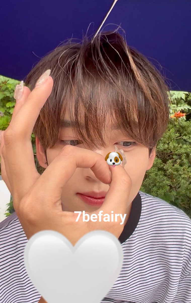 뽀멍이강아지코 💕💕 #한유진