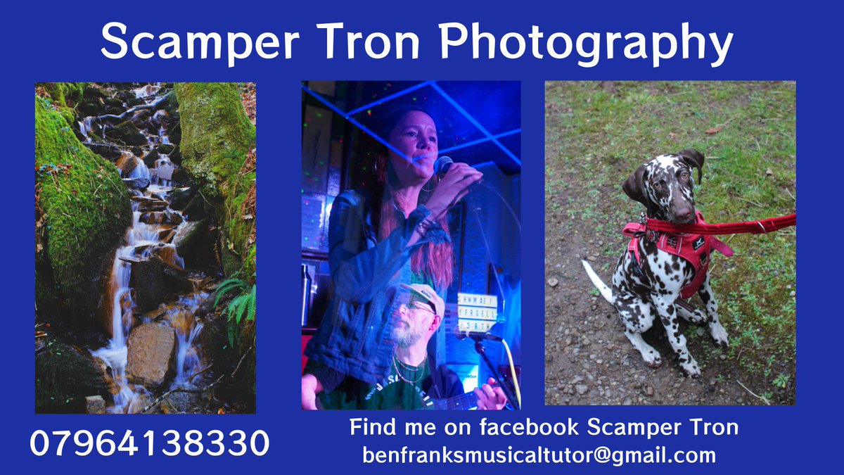 Scampertron tweet media