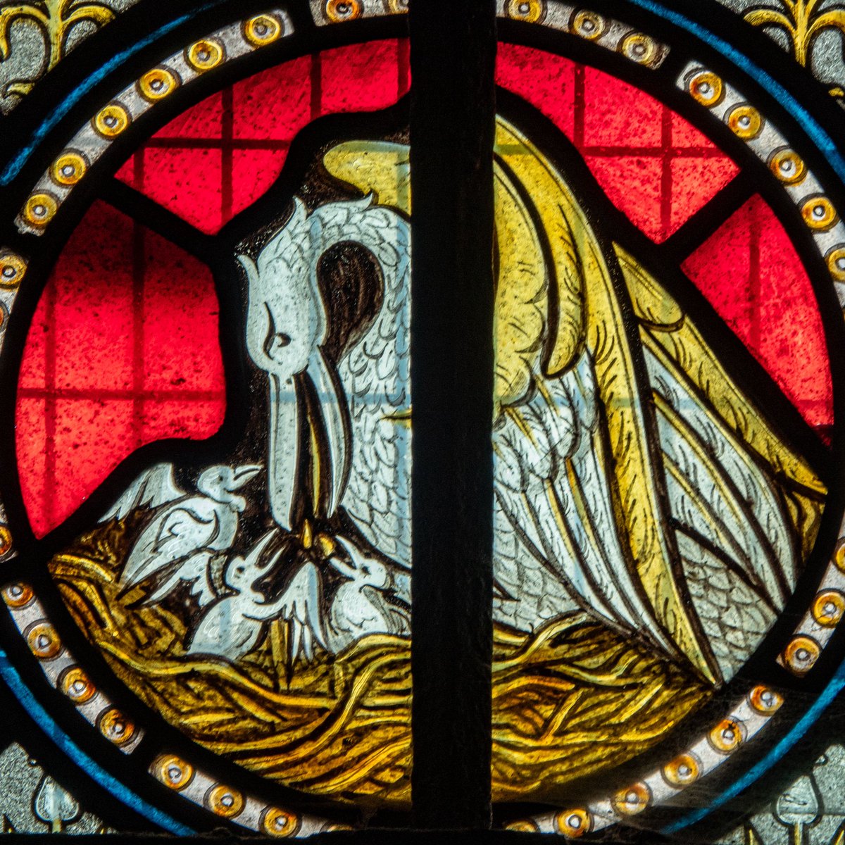 A Pelican in her Piety