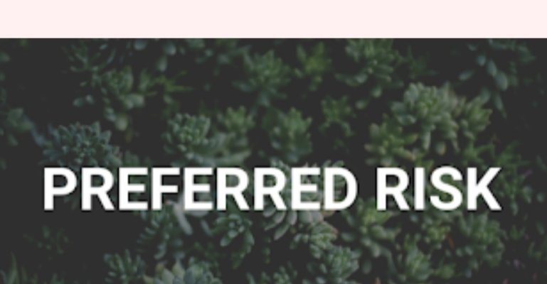 BeNew Insurance tweet media