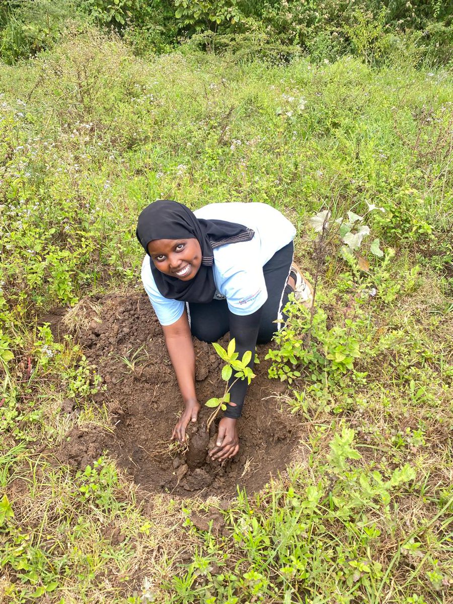 InitiativeTana's tweet photo. Every tree we plant is a promise to our rivers. 🌱💧 Trees protect our water sources by reducing runoff, preventing erosion, and keeping our streams alive. Let’s grow water security — one seedling at a time. #TABSI #WaterForLife #ClimateAction @Africa_WaterAmb @BrianMisiati https://t.co/Pw8fOdlL6d