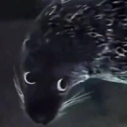 kartik (@th1kartik) on Twitter photo 