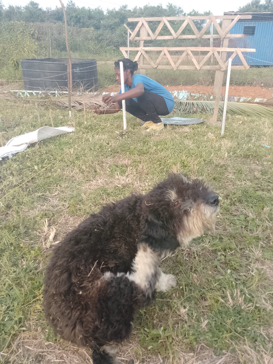 Cooperative Executive Management Team tweet media