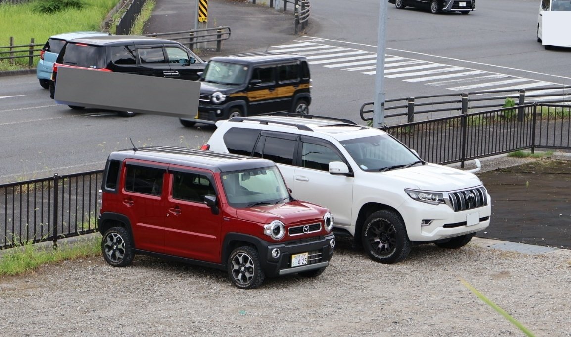 半年ぶりですね！