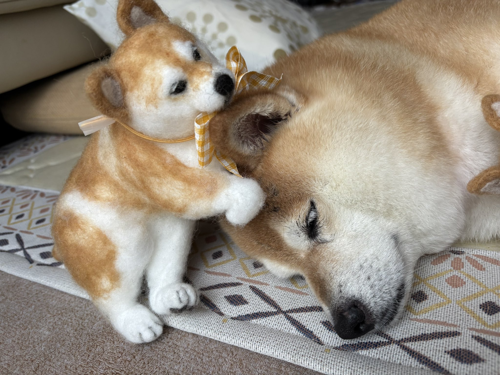 羊毛フェルト犬　コメント、プロフ必読！ mqdefault.jpg
