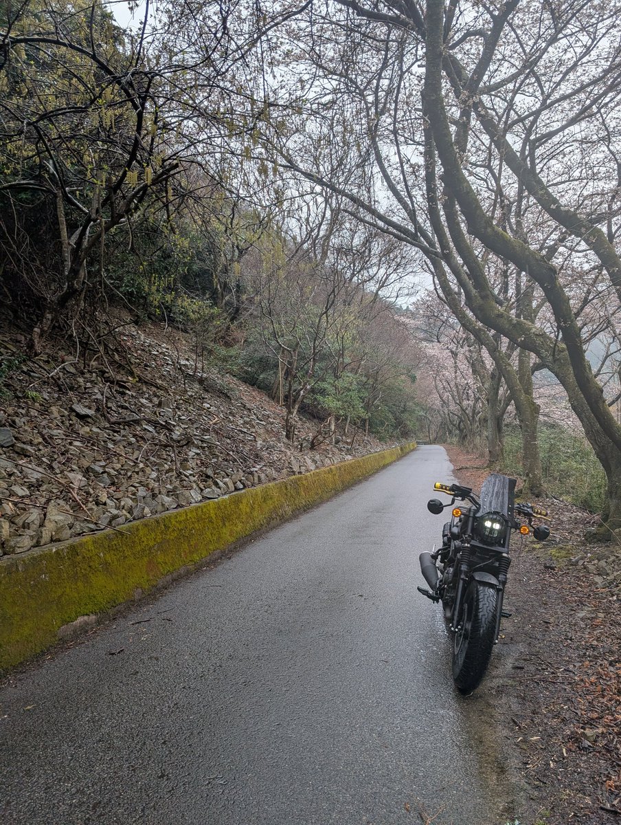 TorikawaBike's tweet photo. 1年過ぎたんで今更ご挨拶

名前：とりかわ
性別：27歳
生息：兵庫
身長：1700mm
愛車：レブル250
好き:ビール、ラーメン、キャンプ
一言：ひとり旅好きの人見知り人間ですが誘って貰えれば行きやすm(_ _)m
 #バイク乗りとして軽く自己紹介
#レブル250
#バイク乗り https://t.co/1C6gMmVW83