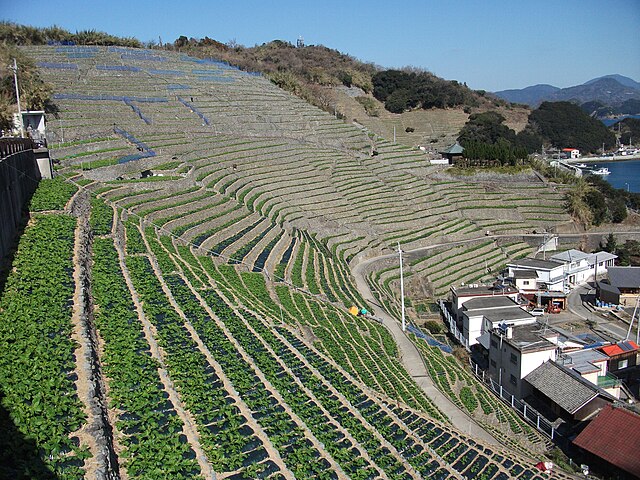 n_hotline_id's tweet photo. [Pariwisata Jepang] 南いよ風景かいどう menawarkan pemandangan indah pulau Shikoku dengan kebun bunga dan jalur pejalan kaki. Cocok untuk fotografi dan menikmati alam. #WisataJepang,#PemandanganIndah,#LiburanSeru https://t.co/wwe2z8jE5k