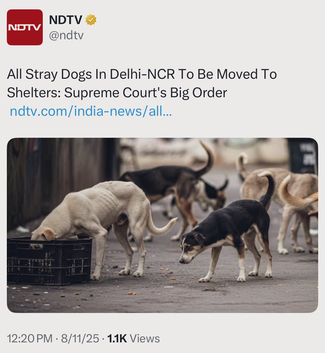 manas_muduli's tweet photo. All stray dogs in Delhi-NCR to be moved to shelters.

The Supreme Court has stated: “Any hindrance by an individual or organisation will be treated as contempt of court.”

This should happen all over India. https://t.co/bvJMD82lAF