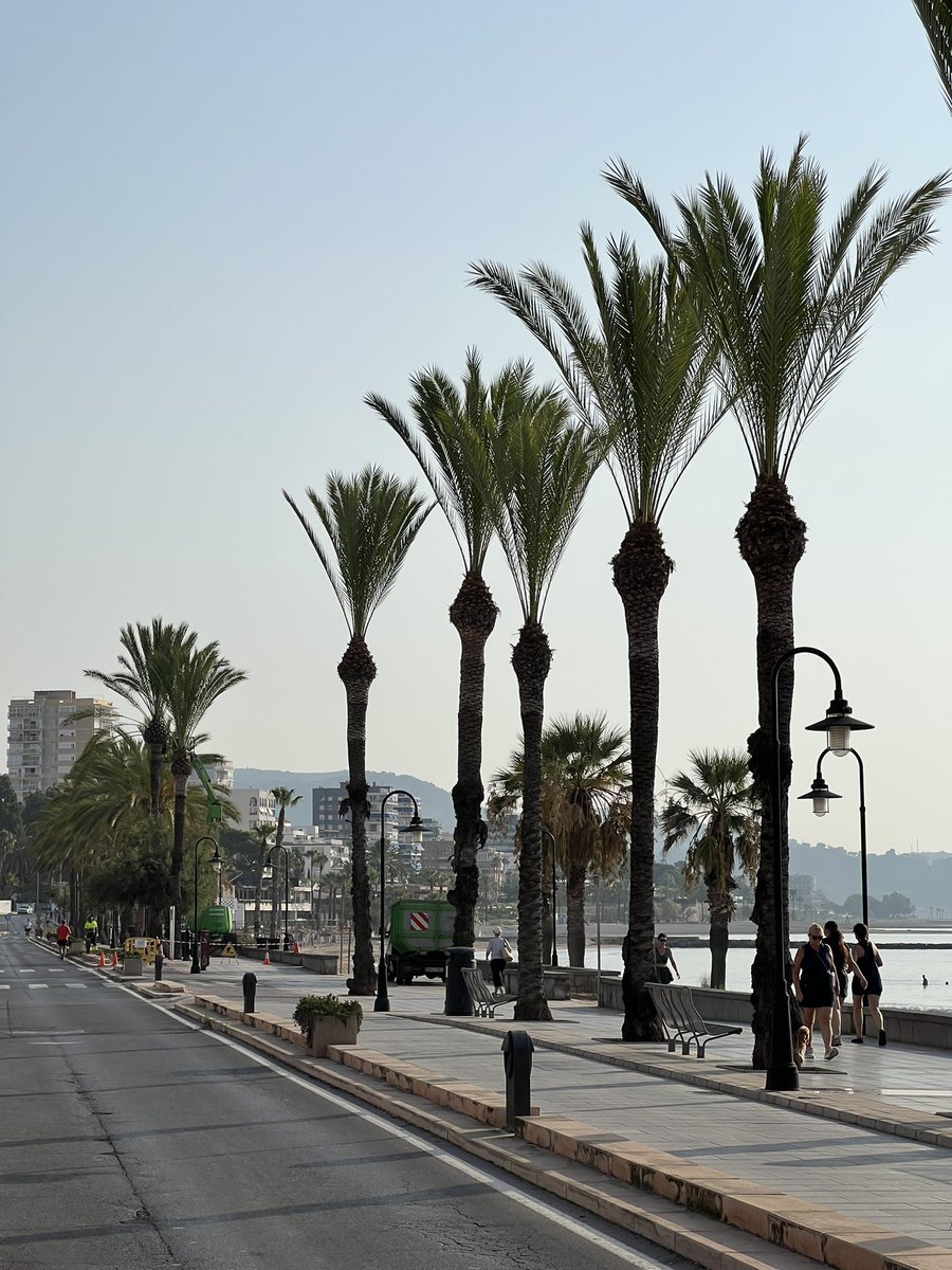 ValènciaCamina tweet media