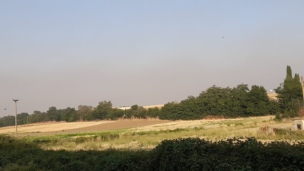 En Fuentesaúco hemos amanecido envueltos en humo, de donde vendrá ?<a href="/meteosegovia/">Adrián Escobar</a> <a href="/sibilafc/">Silvia Ferrer</a> <a href="/ElTiempo_tve/">El Tiempo en TVE</a> <a href="/ElTiempoA3/">El Tiempo de Antena 3</a>