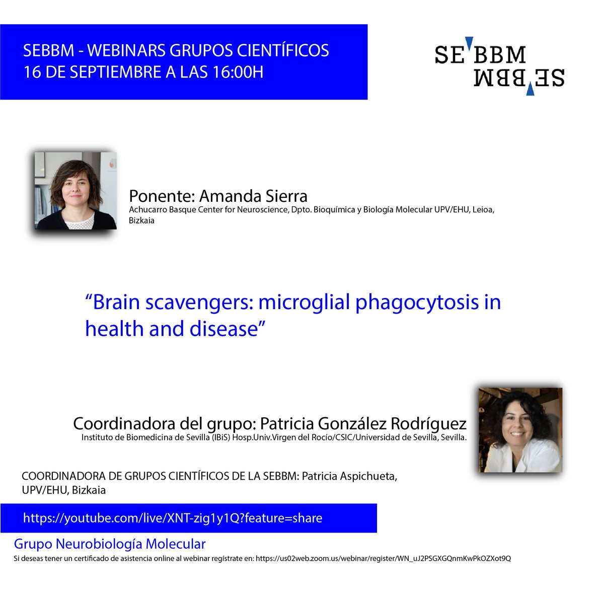 🗓️El próximo 16 de septiembre a las 16h "Webinar Grupo Neurobiología Molecular" coordinado por <a href="/pgonzrodriguez/">Patricia González-Rodríguez #SinCienciaNoHayFuturo</a> 

🗣️ <a href="/AmandaSSaavedra/">Amanda Sierra Saavedra</a>   <a href="/SierraLabAch/">Amanda Sierra</a> 
“Brain scavengers: microglial phagocytosis in health and disease

✍️ f.mtr.cool/zbgjgthbws
▶️ f.mtr.cool/rpnjdqxeju