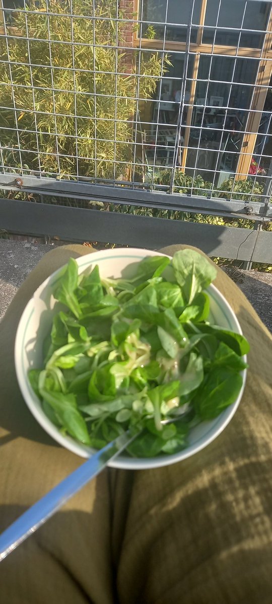 Andrea Barrett tweet media