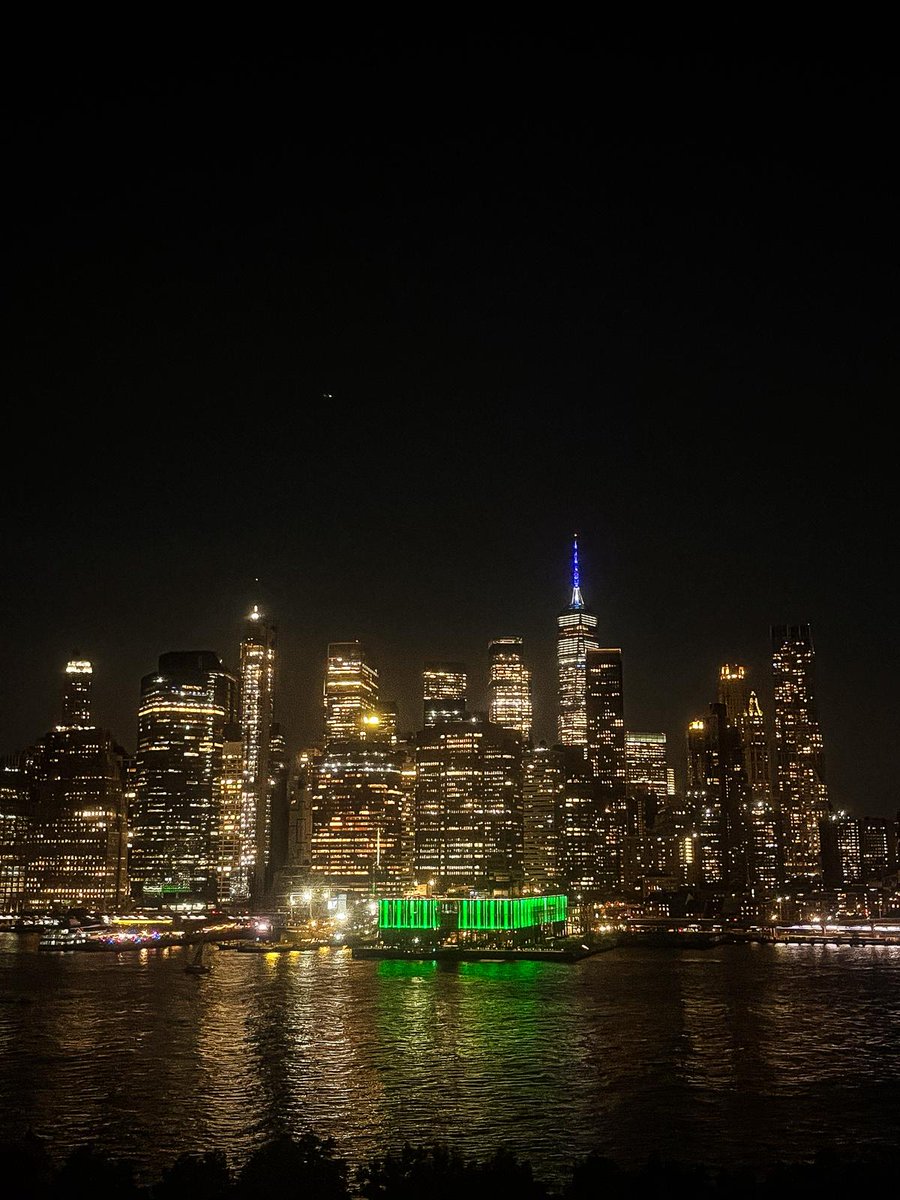 Fabsim50's tweet photo. De retour après dix jours à New-York 
Après un #SummerSlam2025 bien sympa, un petit périple de touriste dans Big Apple qui effectivement ne dort jamais https://t.co/6UFmFgedIC