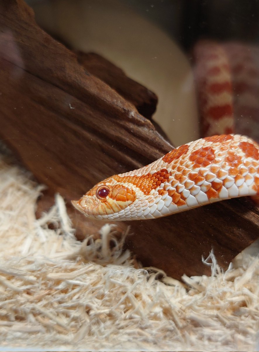 1枚寝てる？？
2枚目写真とってたら起きた？ww