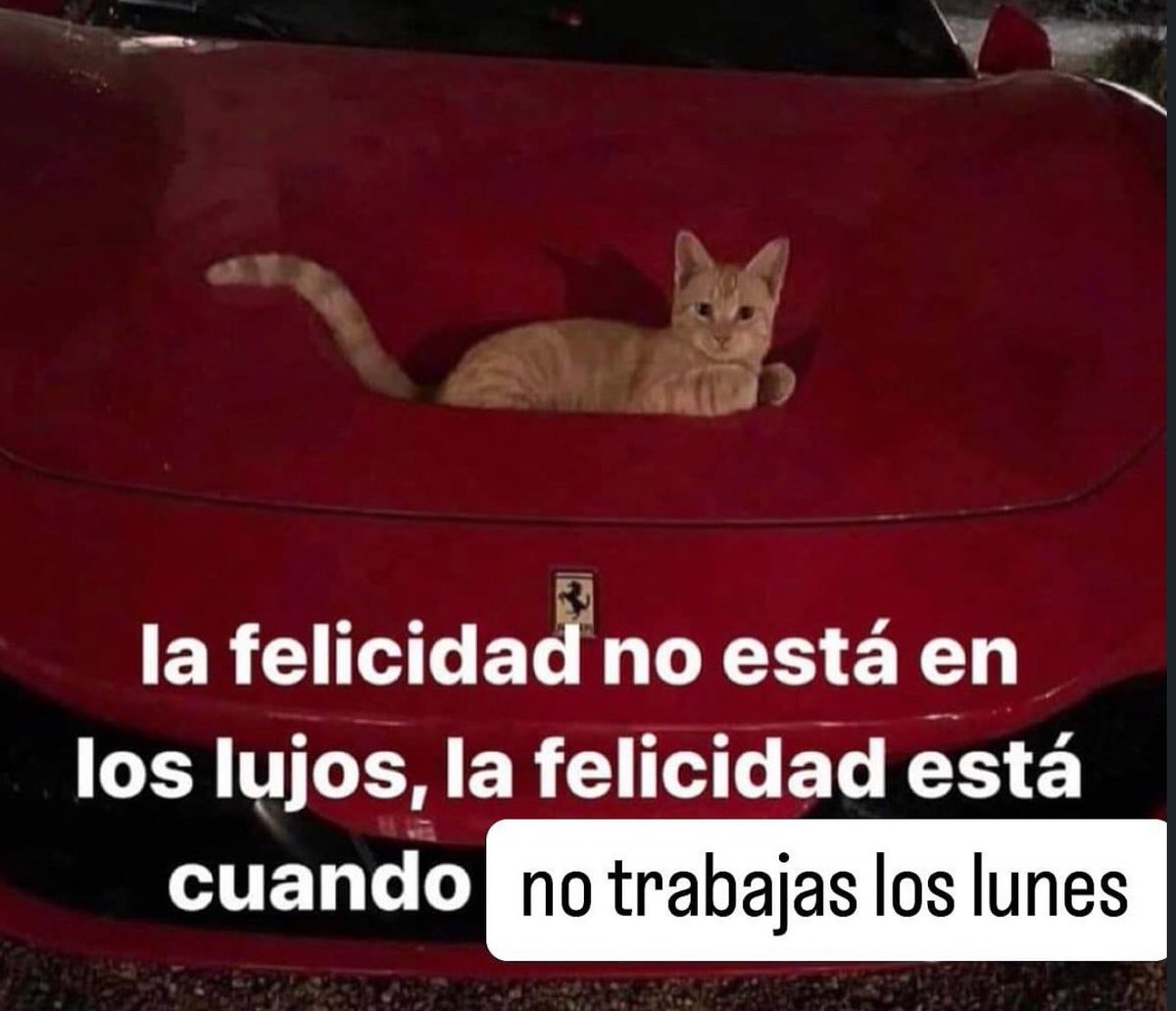skereunpesado's tweet photo. https://t.co/aj7NtSQ2zv
