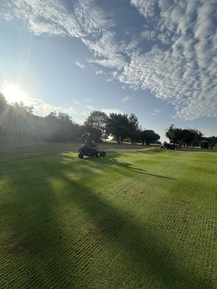 Peter Meek tweet media