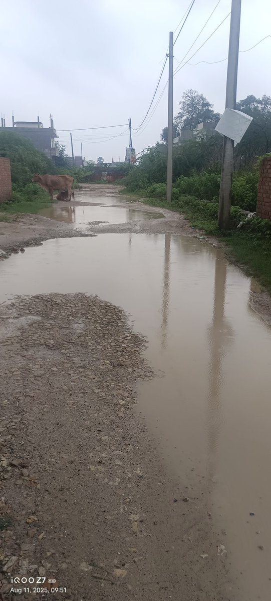 vikku529's tweet photo. @OfficeRajeshwar @Sushma_Kharkwal  ये भी आप दोनों के क्षेत्र का ही हिस्सा है (बिजनौर श्रवन नगर आश्रम रोड )आप से अनुरोध है इधर भी ध्यान दे बारिश में बच्चों का स्कूल वाहन भी नहीं आ पाता ।कोई आपातकाल समस्या आ जाए तो एम्बुलेंस भी नहीं आ सकती।कृपया रोड बनवाने की कृपा करे। https://t.co/DPcl6PkjsN
