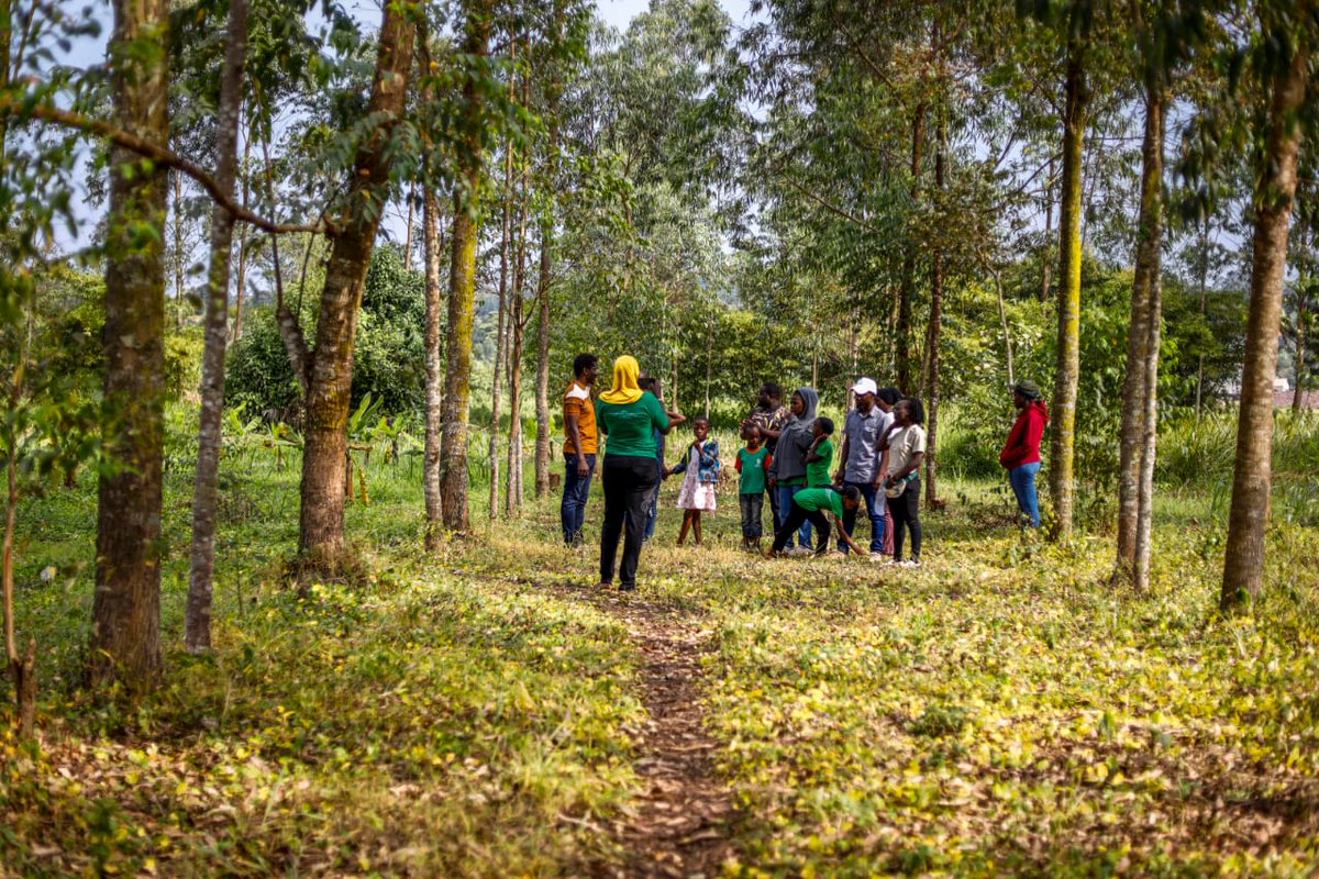 auma oliva (@oliva_auma) on Twitter photo Eco-Tourism at aforest reserve in Mityana District with <a href="/Treetalkplus/">Tree Talk Plus</a> <a href="/teensuganda/">teens uganda</a> and <a href="/Env_Alert/">Environmental Alert</a>
#ClimateAction
#ClimateActionNow
#COP30
<a href="/PeninahAtwine/">peninah atwine</a>
<a href="/AldonW/">Aldon Walukamba</a>
<a href="/tonylala/">Tony Achidria</a>
Photos by <a href="/AliDidaat/">AHMED DIDAATI πΊπ¬</a> Climate photographer Eco-Tourism at aforest reserve in Mityana District with <a href="/Treetalkplus/">Tree Talk Plus</a> <a href="/teensuganda/">teens uganda</a> and <a href="/Env_Alert/">Environmental Alert</a>
#ClimateAction
#ClimateActionNow
#COP30
<a href="/PeninahAtwine/">peninah atwine</a>
<a href="/AldonW/">Aldon Walukamba</a>
<a href="/tonylala/">Tony Achidria</a>
Photos by <a href="/AliDidaat/">AHMED DIDAATI πΊπ¬</a> Climate photographer