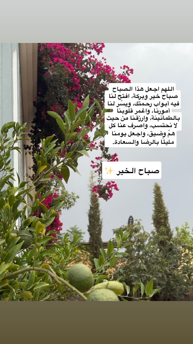 abeer_y9's tweet photo. #صباح_الخير #صباح_الخير_والسعاده https://t.co/F2MeRs9umr
