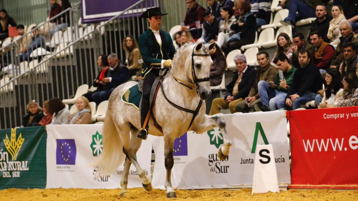 fibesevilla's tweet image. ¡Se viene una nueva edición de @SICABOficial! 🐎✨

📆 Del 18 al 23 de noviembre se desarrollará en #Fibes la 35ª edición del mayor evento ecuestre del mundo en torno al #caballo español. 

Espectáculos, exposición...¡y una gran actividad comercial! 👇

fibes.es/evento/sicab/