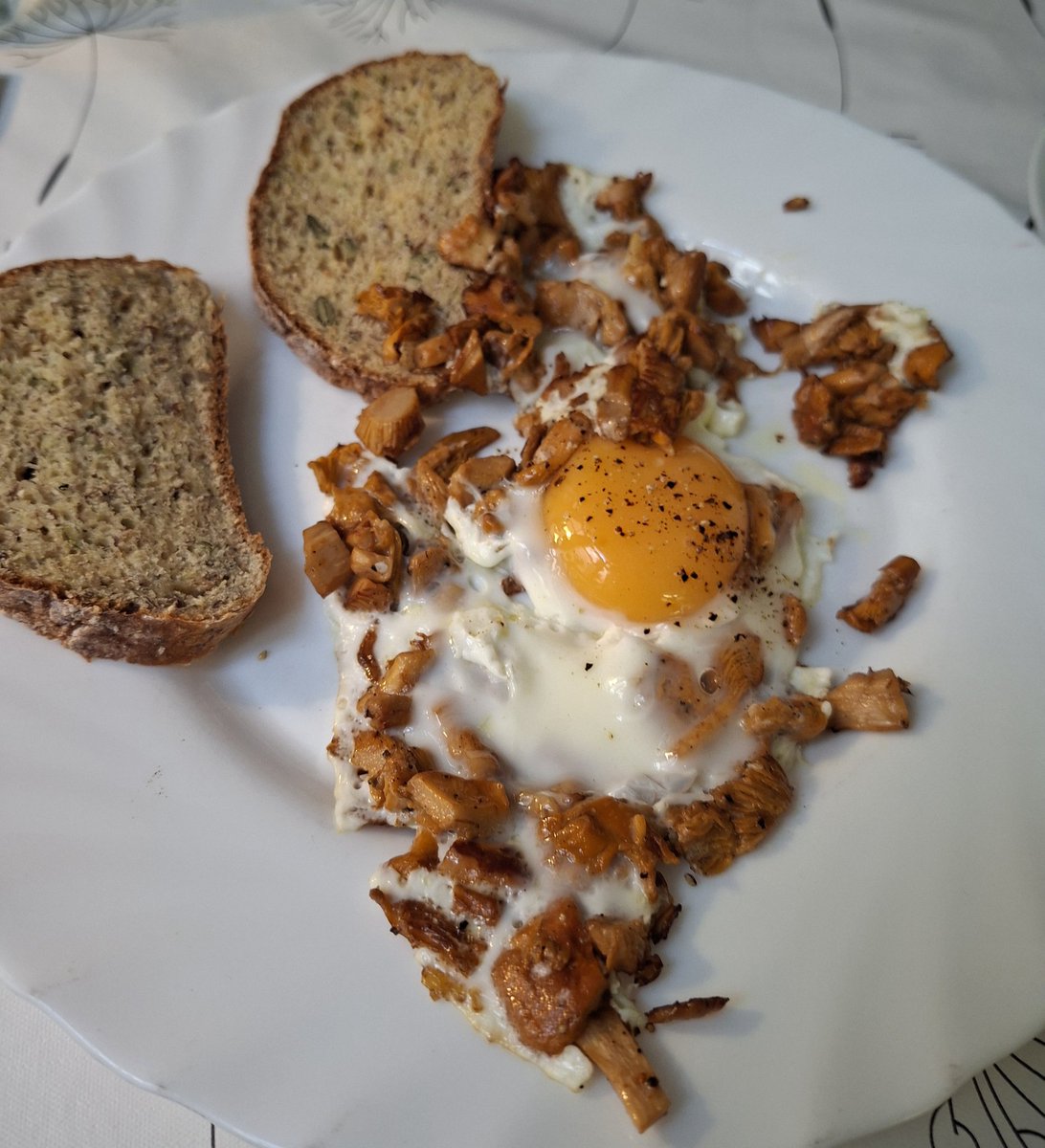 aneri2007's tweet image. Auch so kann man die Woche beginnen 😋
Guten Start für ALLE 

#Eierschwammerl
#FlohsamenschalenBrot
#Spiegelei