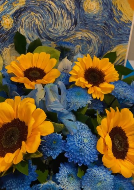 sunflowerchives's tweet photo. https://t.co/oE4AfF23Hv