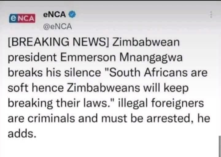 Fellow South Africans 🇿🇦