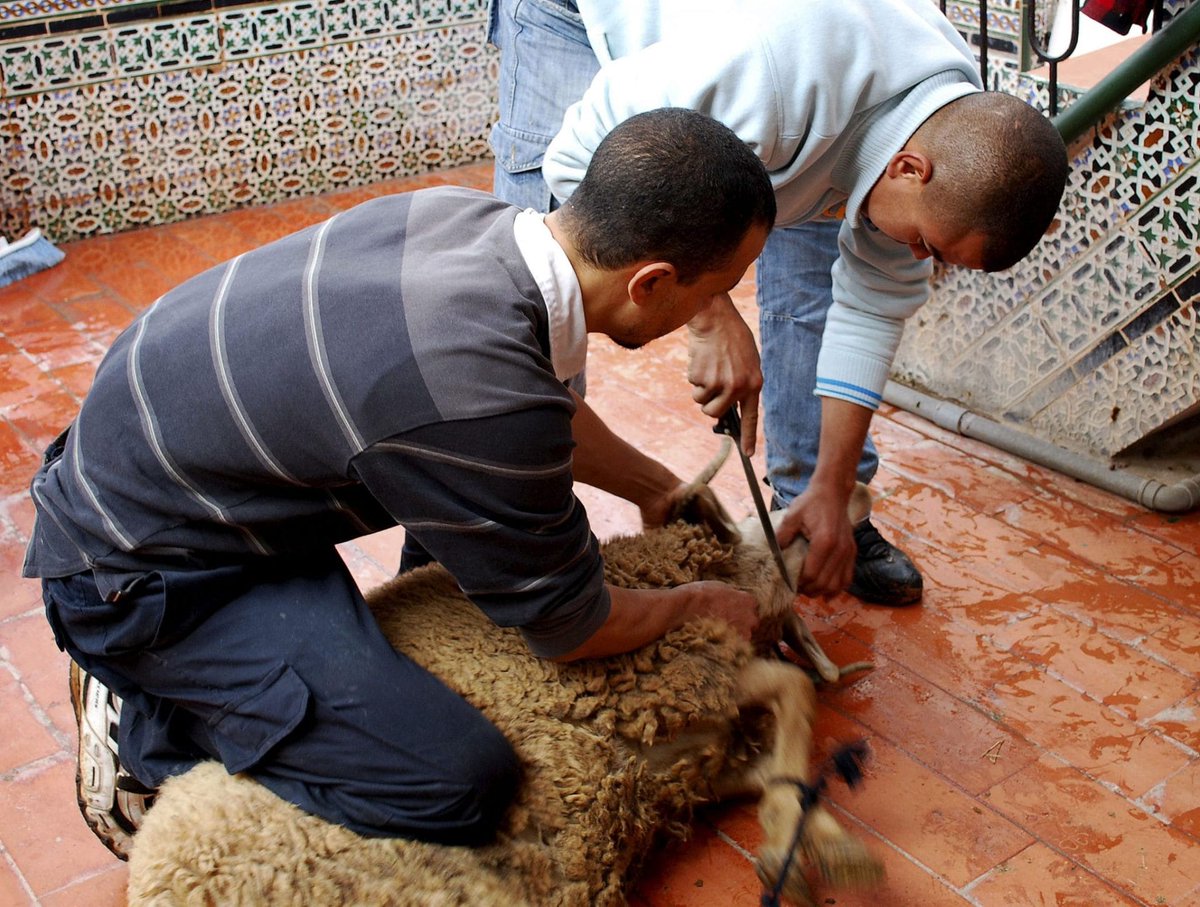 Dónde están los animalistas , para protestar por esto no hay subvención ? Bueno, ni subvención ni huevos