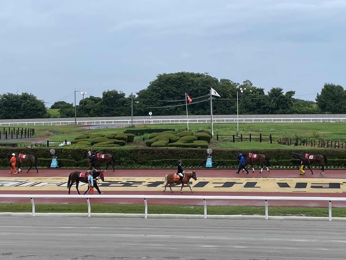 wowALFwow's tweet photo. #笠松競馬場
笠松競馬場にきたよ！笠松といえばオグリキャップの故郷か！
あいにくの雨だったけど、お馬さんたち、一生懸命走ってたよ！

来場プレゼントでカレーもらった！嬉しいね！
誘導馬がポニーなの、可愛くていいと思うけど、なんかジワジワ来るね！ https://t.co/F8ENK4dAGl