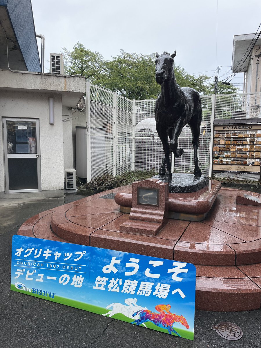wowALFwow's tweet photo. #笠松競馬場
笠松競馬場にきたよ！笠松といえばオグリキャップの故郷か！
あいにくの雨だったけど、お馬さんたち、一生懸命走ってたよ！

来場プレゼントでカレーもらった！嬉しいね！
誘導馬がポニーなの、可愛くていいと思うけど、なんかジワジワ来るね！ https://t.co/F8ENK4dAGl
