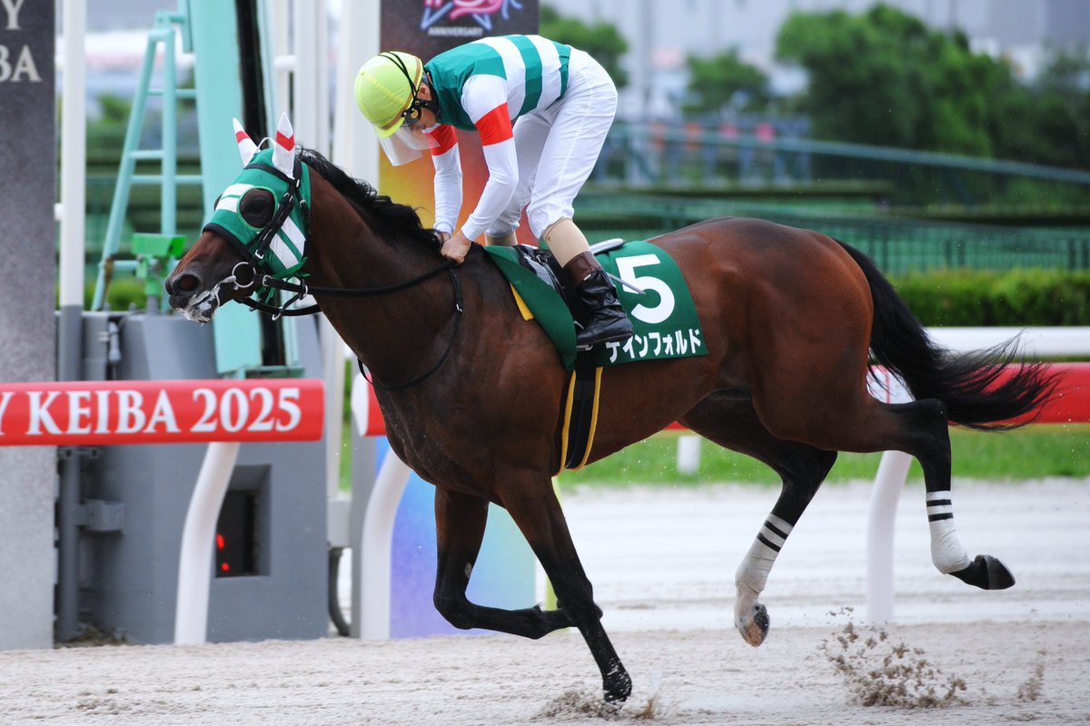 SEEK GLORY!】 8/11 大井3R #2歳新馬 では9頭がデビュー✨ 新馬勝ちの