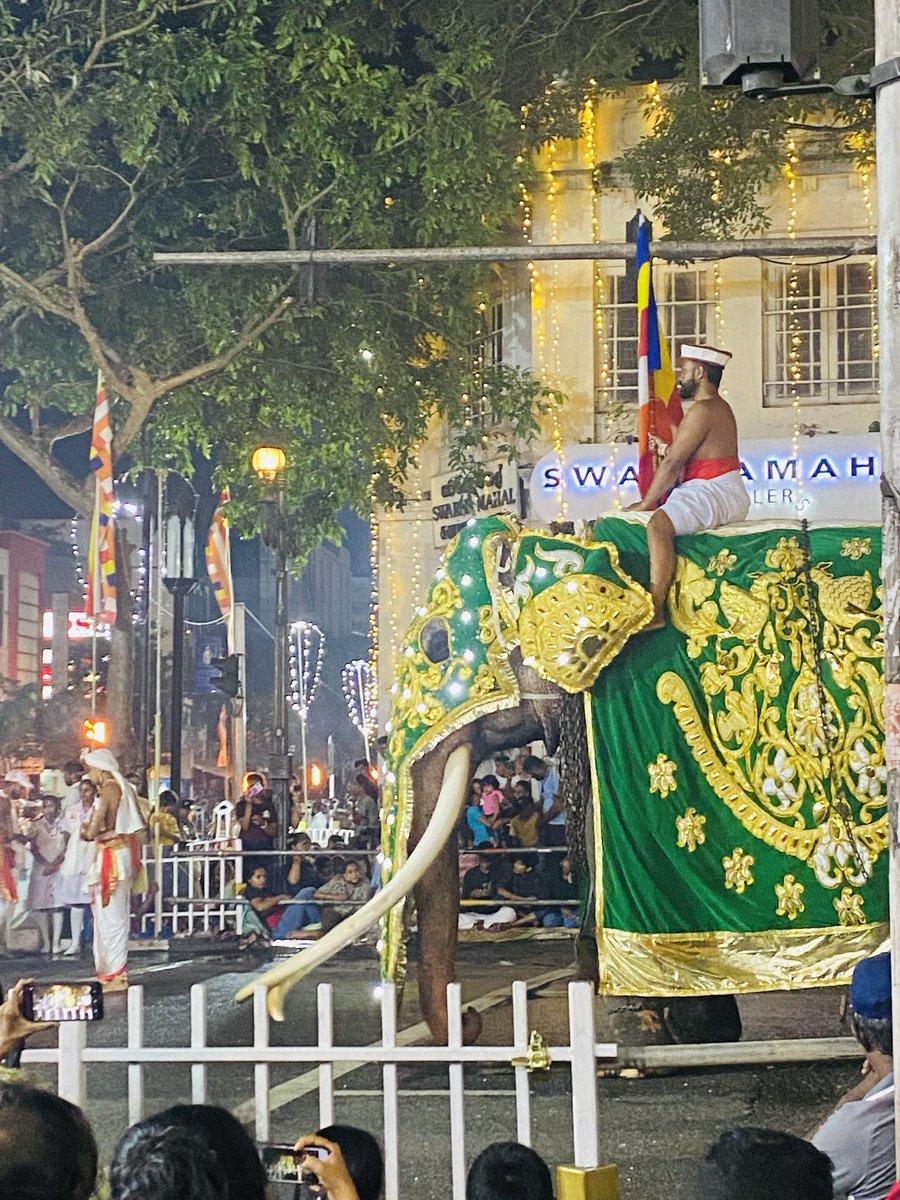 Kachal__'s tweet photo. අවසන් රන්දෝලිය ♥️🐘 https://t.co/tnDWwMBa7r