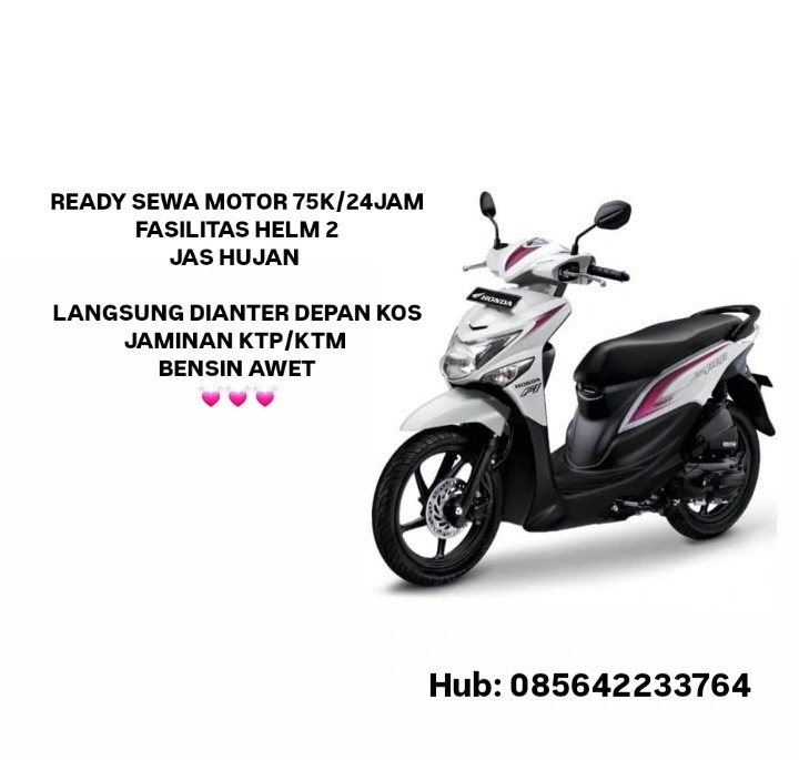 fii // rental rental kuy tweet media