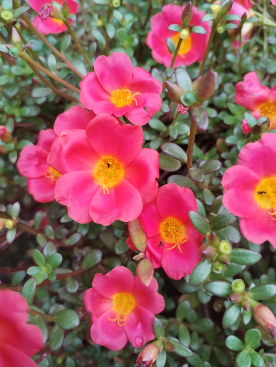 vivek_visuals's tweet image. Good morning everyone 🌞