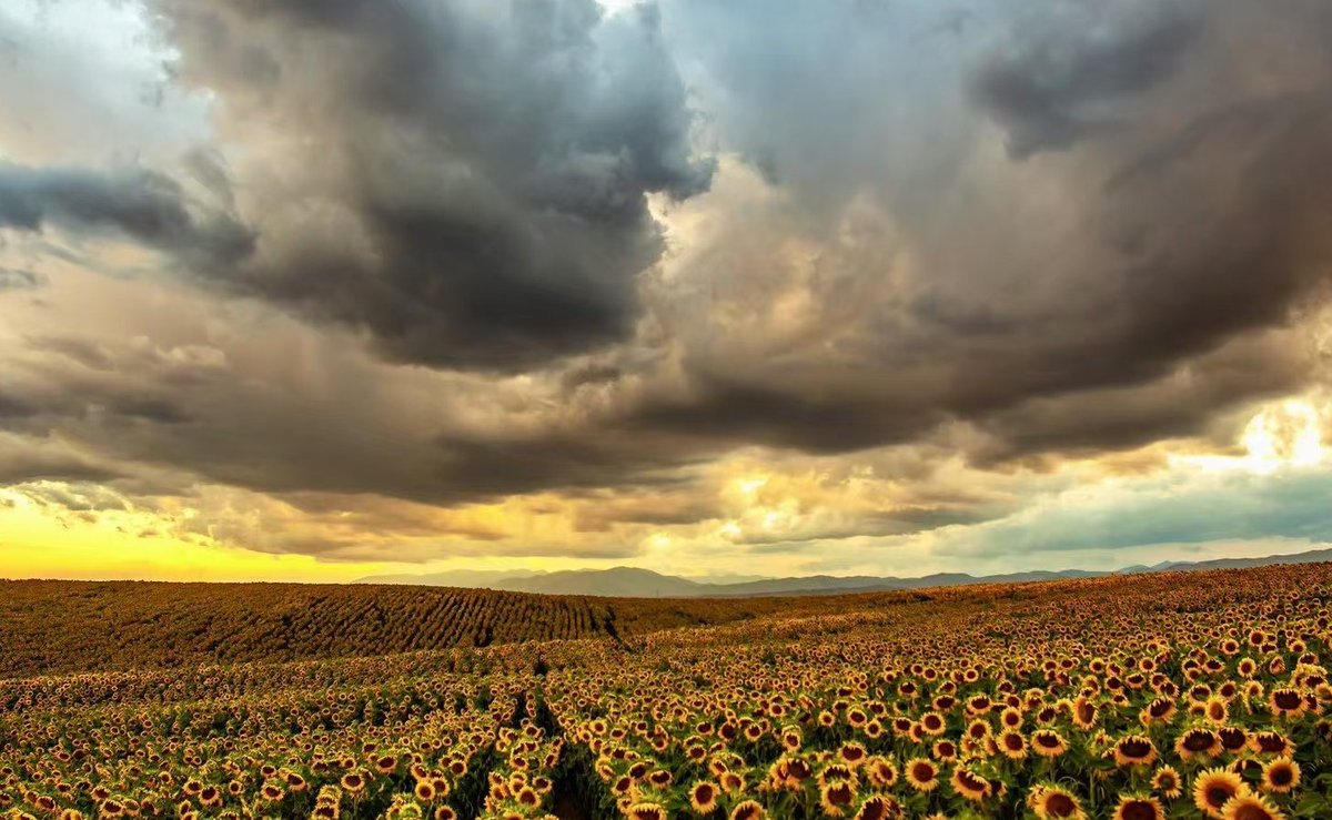 pswexplorer's tweet photo. I think it's very eye-catching!📷 https://t.co/maHEaoRTqP