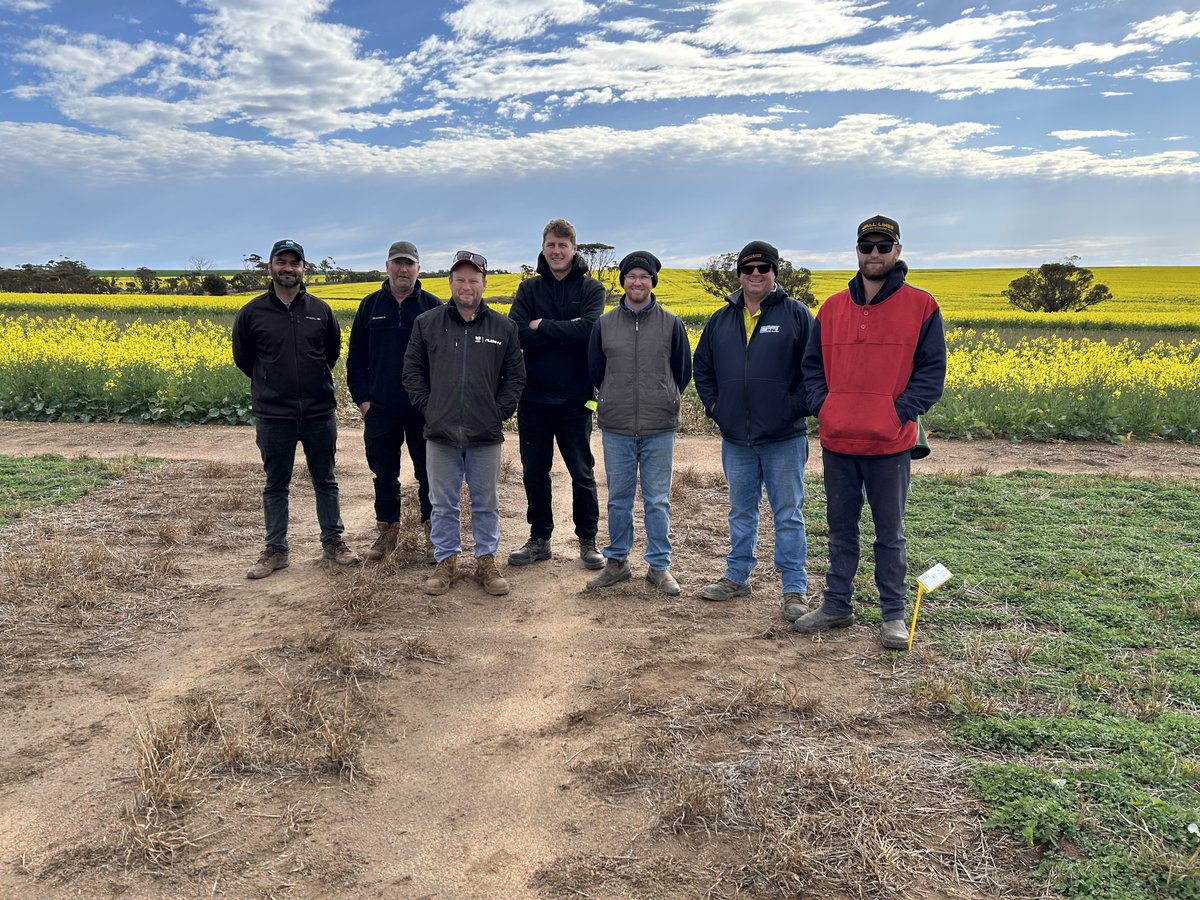 Waseem_Ashfaq's tweet photo. Last week, we welcomed a group of farmers/consultants to our WA Farming Systems trial site at Lake Grace. A great conversation around soil, nitrogen, and systems break options. 📅 Save the date: September 9 for the LIFT group field walk. @DPIRDbroadacre @GRDCWest #WAFSProject https://t.co/AXizBhiw1M