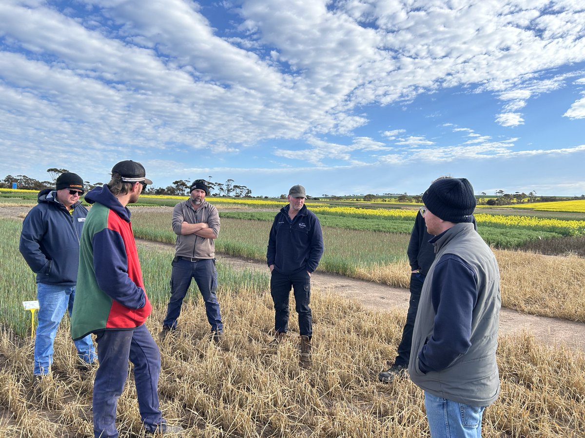 Waseem_Ashfaq's tweet photo. Last week, we welcomed a group of farmers/consultants to our WA Farming Systems trial site at Lake Grace. A great conversation around soil, nitrogen, and systems break options. 📅 Save the date: September 9 for the LIFT group field walk. @DPIRDbroadacre @GRDCWest #WAFSProject https://t.co/AXizBhiw1M