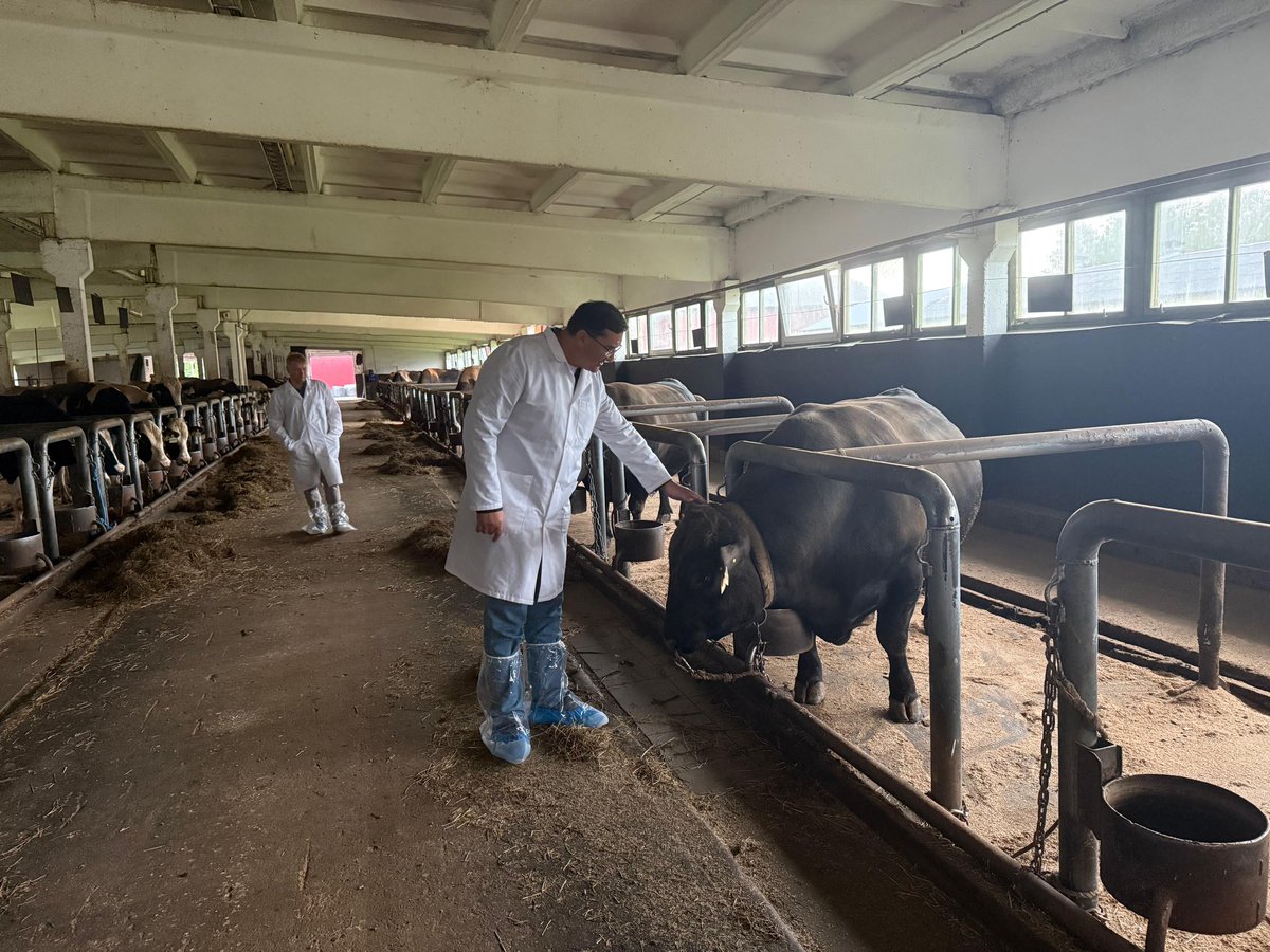 kazembassyEst's tweet photo. Kasahstani põllumajandusdelegatsioon külastas Eesti eesrindlikke talusid

Kazakh Agricultural Delegation Explores Best Practices of Estonian Farms

https://t.co/LRoWJQnZiJ https://t.co/6nStOs3QkZ