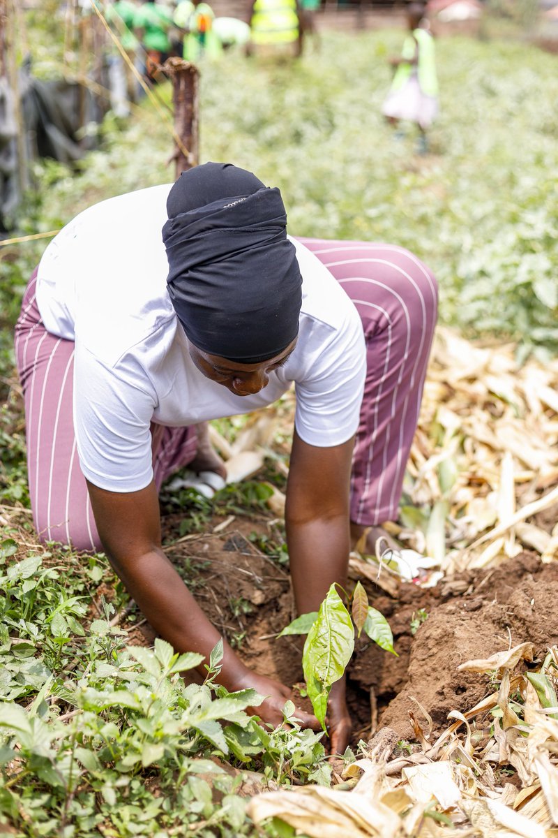 Gave back to nature with amazing youths! Last weekend, we planted trees in a forest and wetlands, fostering sustainability &amp; environmental stewardship. Every tree counts
 #deprem #Sustainability #YouthEmpowerment"
