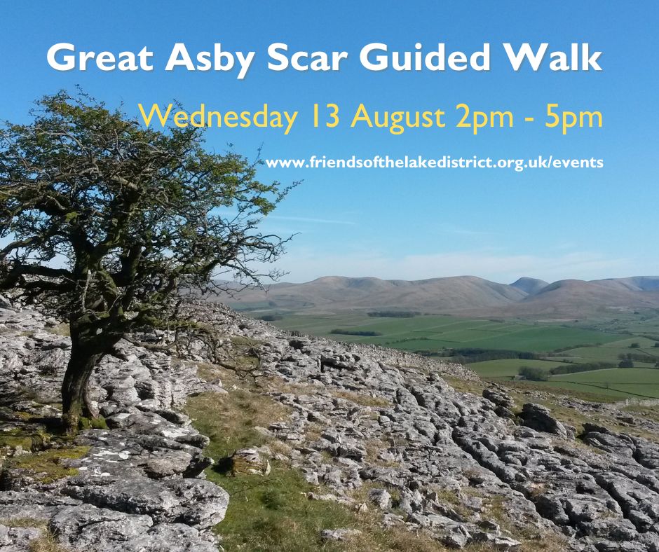 FriendsofLakes's tweet photo. Last chance to book on our guided walk of Great Asby Scar National Nature Reserve 👣 13 August 2025.
#guidedwalk #limestonepavement #nationalnaturereserve https://t.co/lNdnSaw2Gb