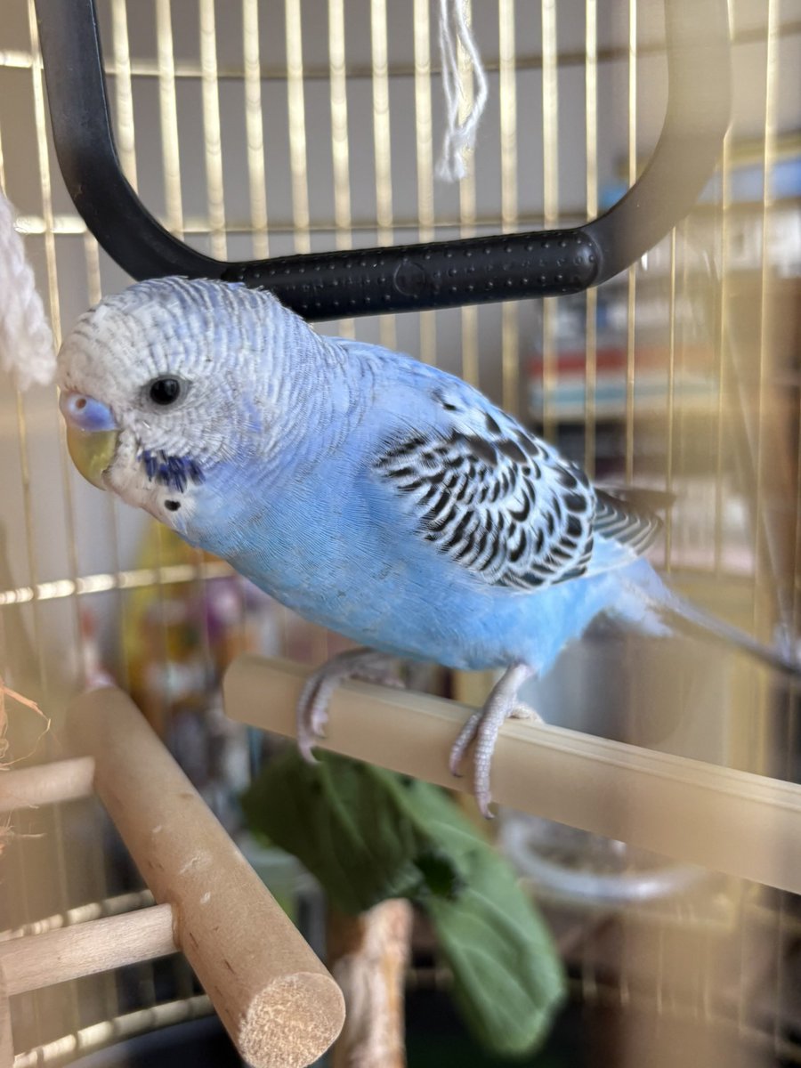 しーちゃん (@JRyN321rHwDb6ha) / X