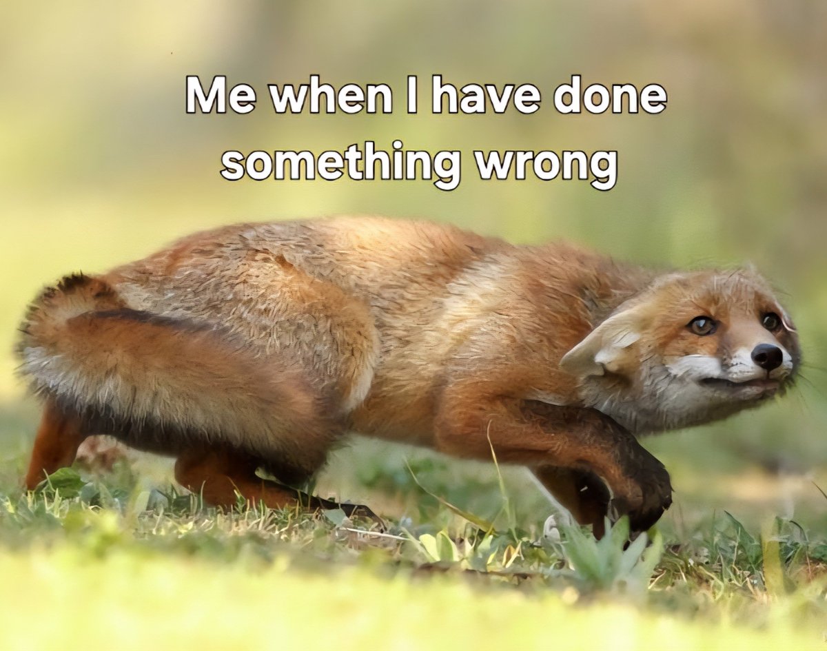 Please don't be mad at me, I am small and very flat